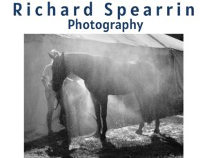 photo of horse by Richard Spearrin