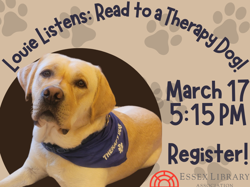 3.17.26 Louie Listens