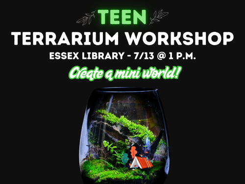 DIY Terrarium (500 x 380 px) (3)