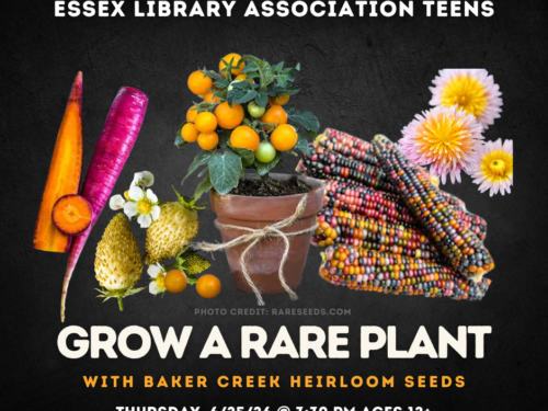 Grow a Rare Plant (500 x 380) (1)