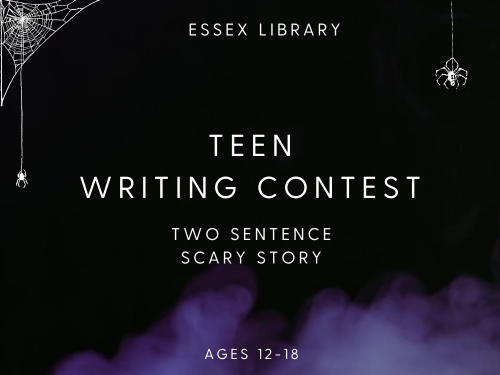Teen Writing Contest (500x380)