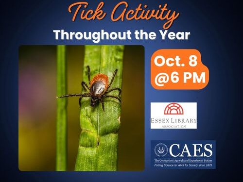 10.8.26 Tick Activity Throughout the Year(1)