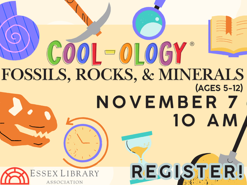 11.7.26 Coolology Fossils, Rocks, and Minerals