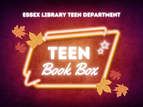 Teen Book Box - Autumn 2026 (500 x 380 px)